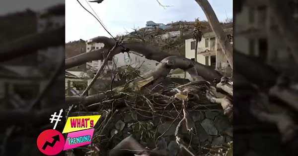 Irma Hurricane Video 2