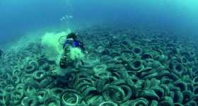 Osborne Reef at Fort Lauderdale Florida Polluted With 700000 Tires 1