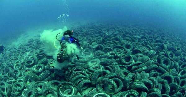Osborne Reef at Fort Lauderdale Florida Polluted With 700000 Tires 1
