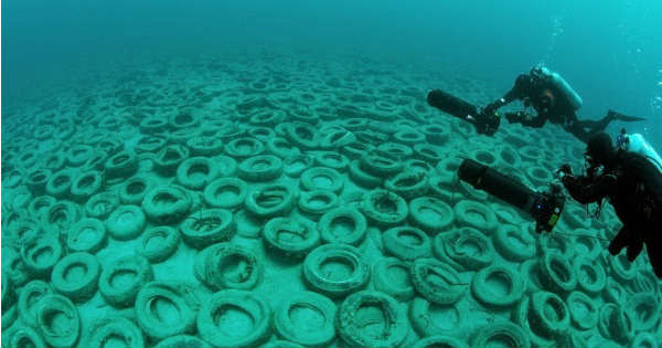 Osborne Reef at Fort Lauderdale Florida Polluted With 700000 Tires 2