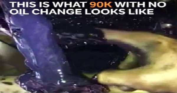 Regular Oil Change Must 11