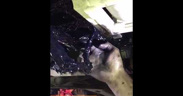 Regular Oil Change Must 2