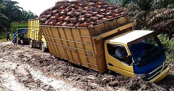 Compilation Of Semi Truck Drivers 1