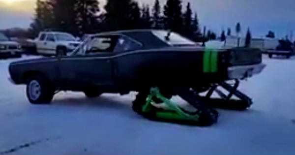Dodge Coronet SuperBee Snow 11