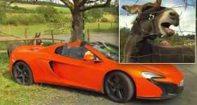 Donkey Damage Orange McLaren 650S Spider Bite Carrot 3