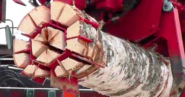 EXTREME Wood Cutting Machine 1