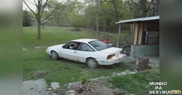 Huge Tree Trunks vs cars 2