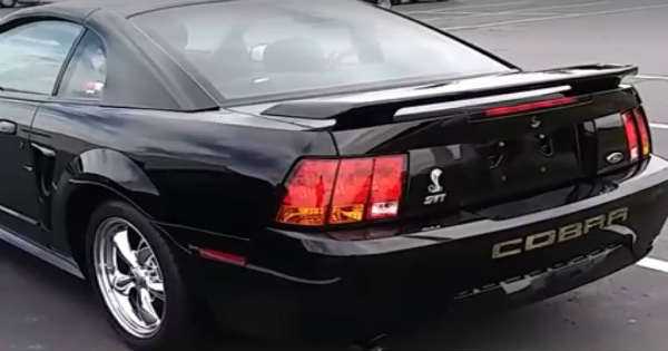 Mustang Cobra Sound 11