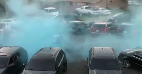 The Best Gender Reveal You Have Ever Seen 11