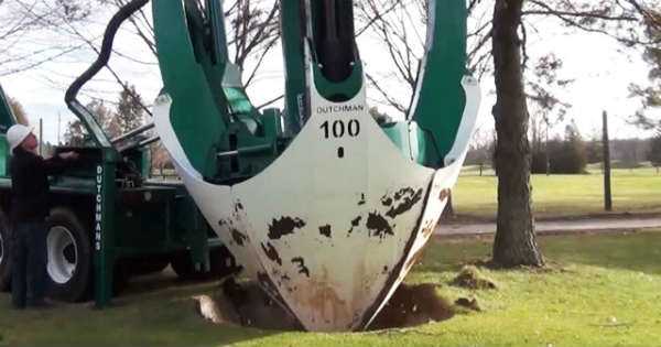 Transplanting Trees Relocate Machine Dutchman Tree Spade 1