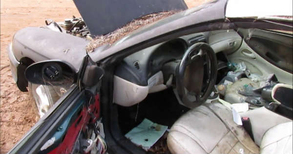 Will This Abandoned Ford Mustang GT Start Up 1