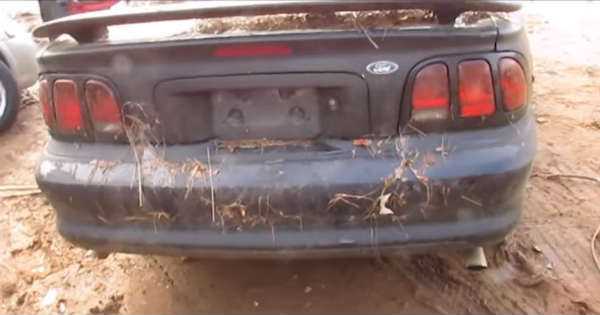 Will This Abandoned Ford Mustang GT Start Up 2