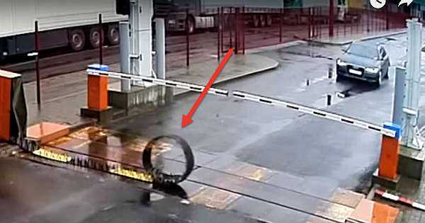 Border Police Ruthless Drivers 11