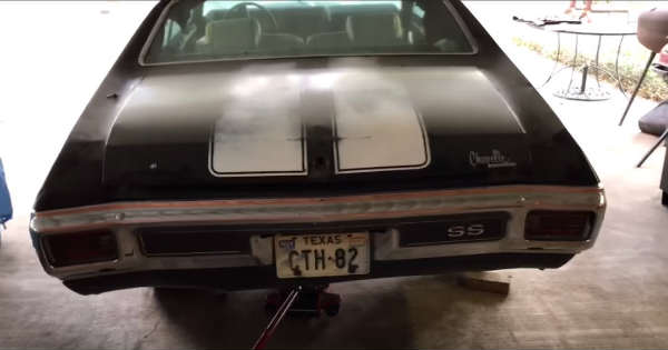 Holly Grail 1970 Chevelle LS6 SS454 BARN FIND in Dallas Texas 2