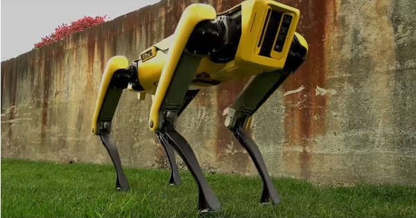 SpotMini - Robot Dog by Boston Dynamics 2