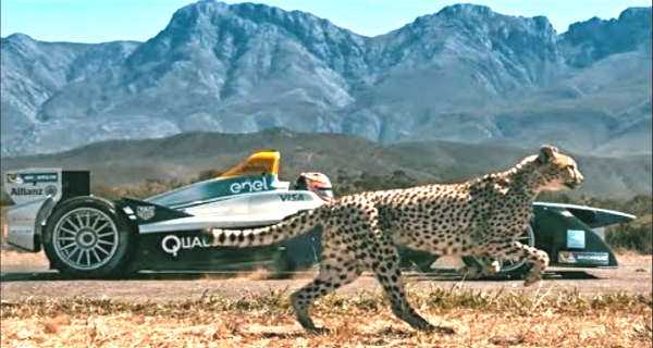 Cheetah vs Formula E Race Car - Head To Head 11