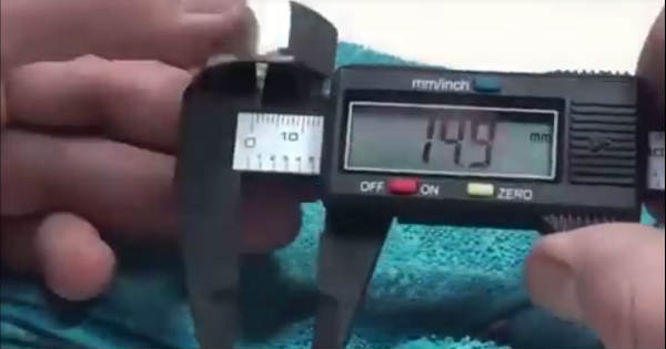 Here Is How To Make A Ring From A Nut 2