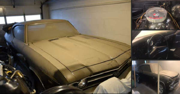 Very Rare 1969 Chevelle SS 396 With 2,200 Miles On The Clock - BARN FIND! -  Muscle Cars Zone!