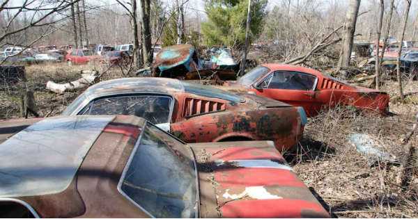 How Does A Junkyard Operate 1