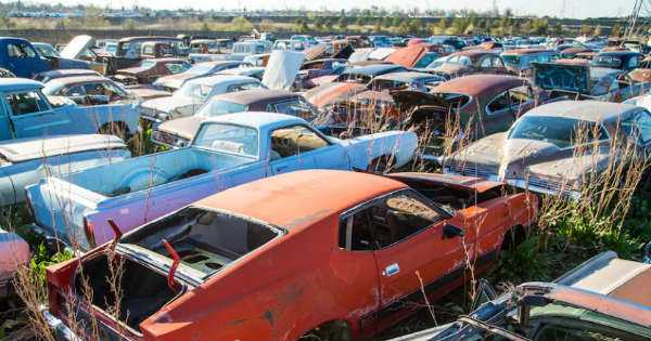 How Does A Junkyard Operate 2