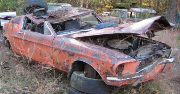 Few Reasons of Using Scrap Cars Removal Service 1