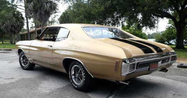 Understanding Your Options for Car Insurance 2