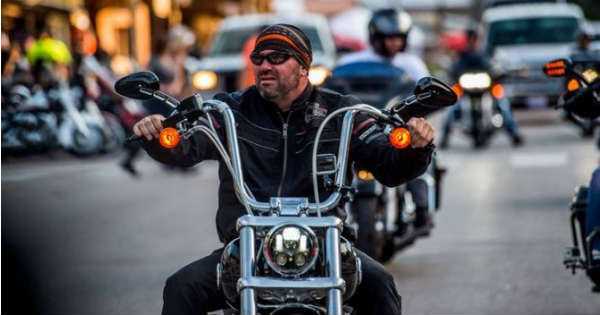 ufc cheif dana white collection