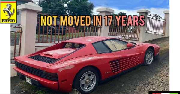 abandoned testarossa puerto rico 1