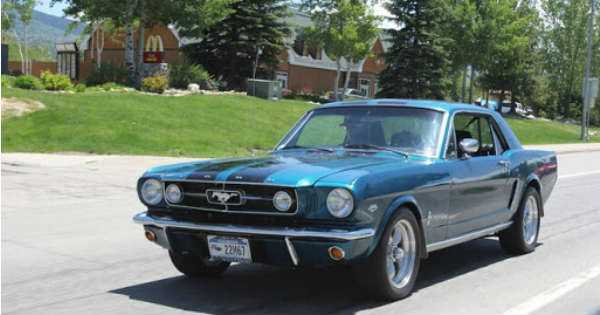 Have A Safe Road Trip With These Top Tips 2