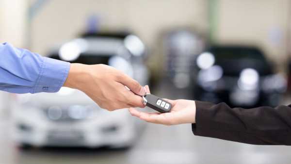 Renting a Vehicle