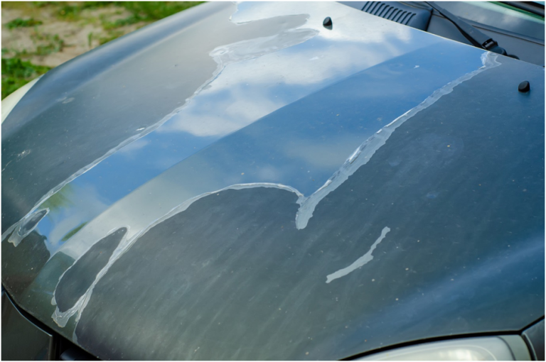 Protect Your Vehicle All About Car Paint Damage Types Muscle Cars Zone!